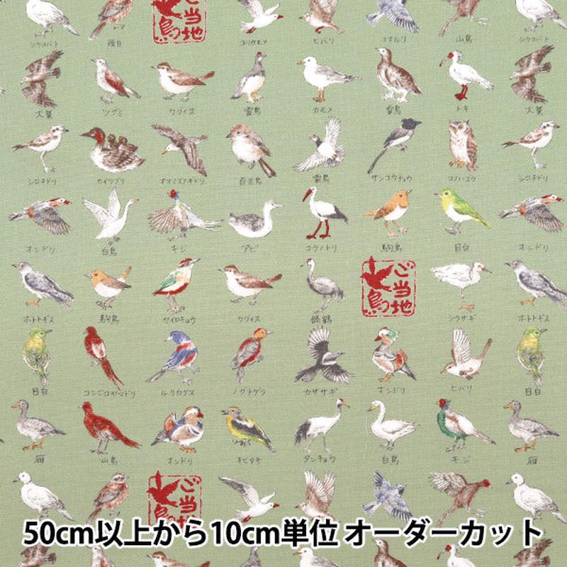 [From quantity 5] Fabric Oxford Local series Tori Green YPA-51000-2C] KOKKA