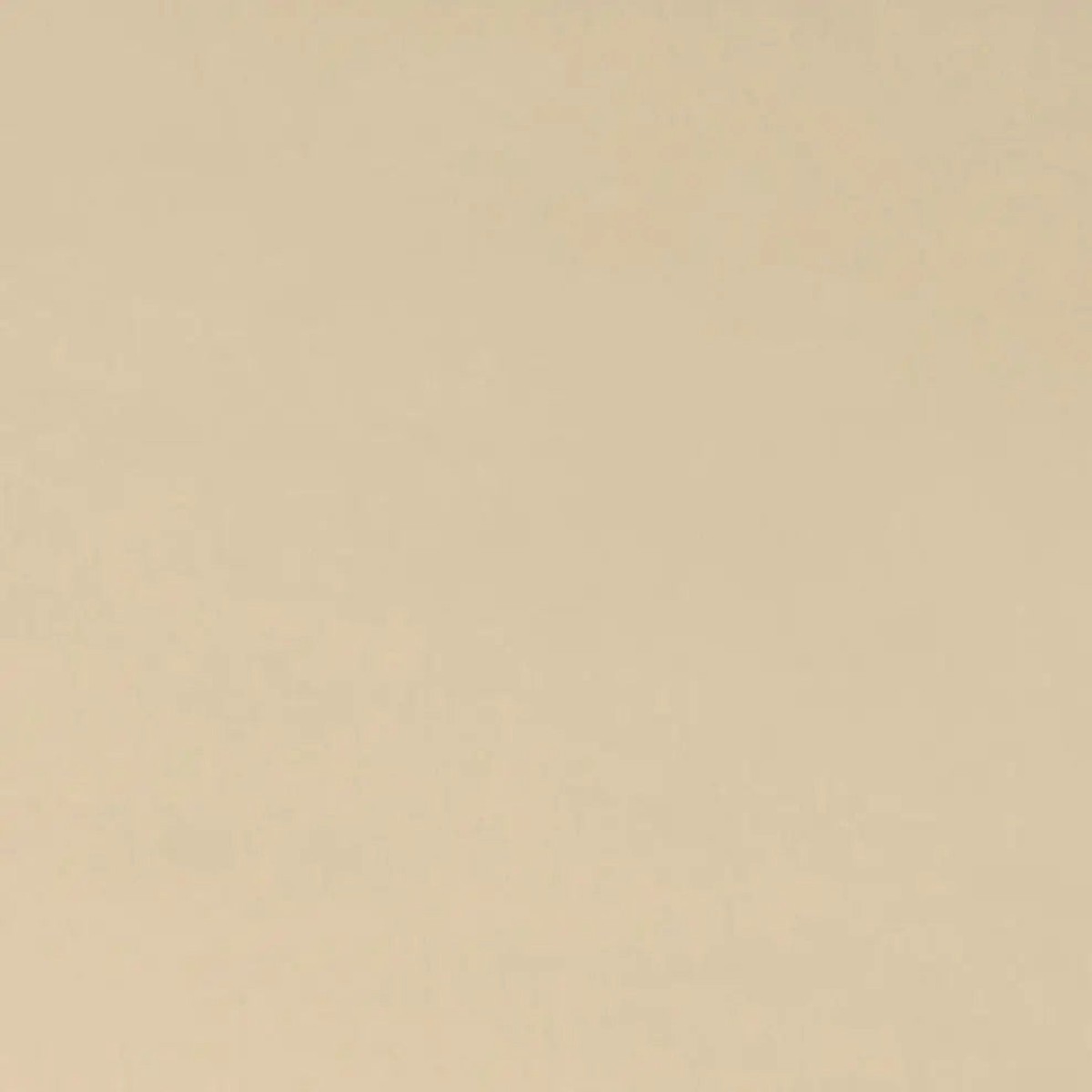 Latte Cuddle 3 Extra Wide Solid Minky Fabric Per Yard