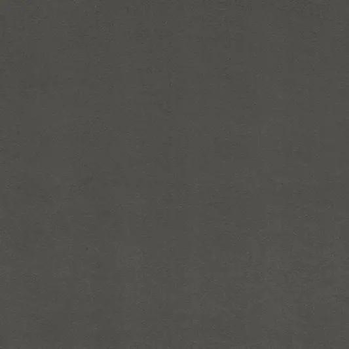 Quilting Cuddle Solid Ash Fabric per yard