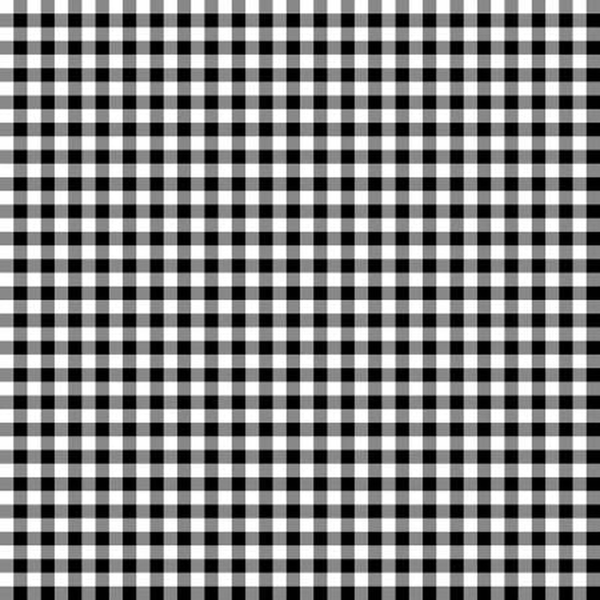 WL White/Black Gingham Classics