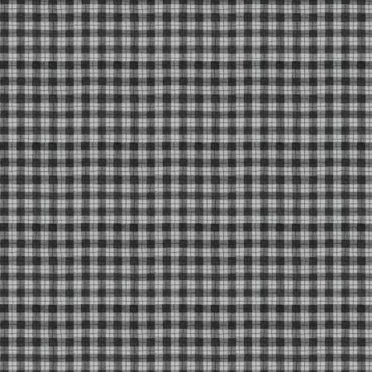 WL Nose to Nose 39687 909 Grey Plaid