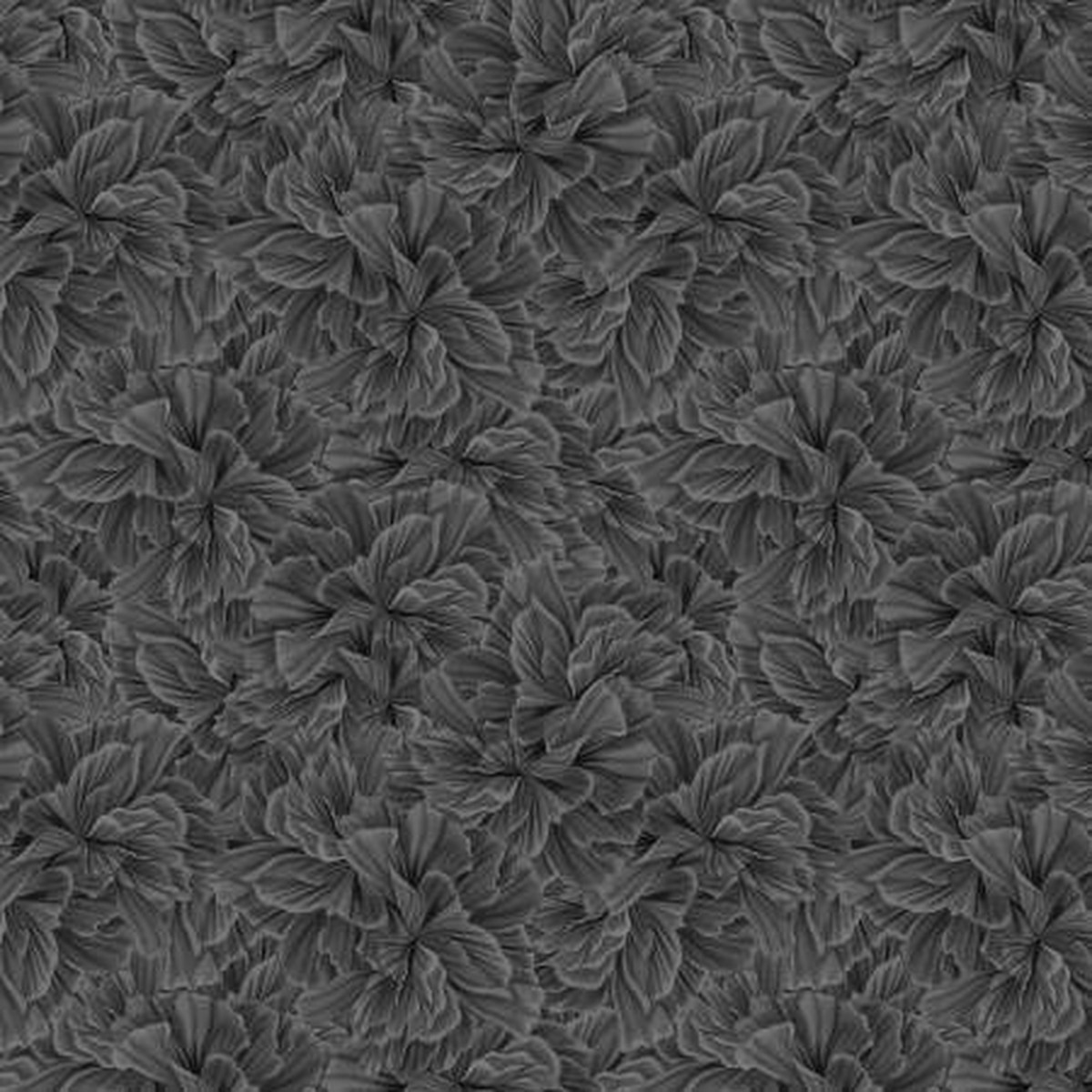 WL Midnight Garden Black Petal Texture